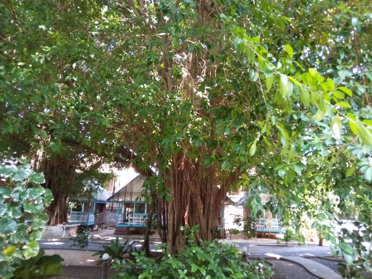 Blu' Beach Bungalows Lamai Beach  Exterior foto